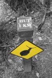 Native snails are threatend in number; Heaphy Trek