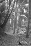 Heaphy Trek