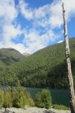 Walking around Lake Rotoiti