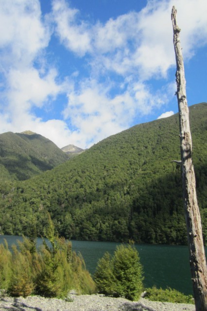 Walking around Lake Rotoiti