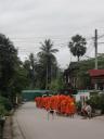 Stream of monks taking alms at 6am