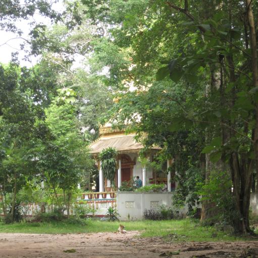 Forest Temple; Wat Sok Pa Luang