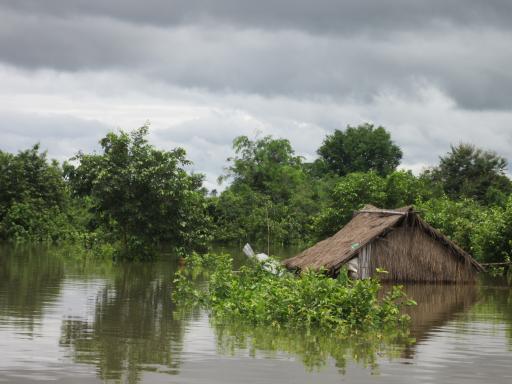 cause of the raining season houses are flooded