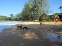Bamboo Island