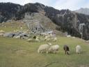 Triund; 2875 meter hoog in de bergen