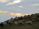 Triund; 2875 meter hoog in de bergen