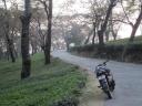 riding on the back of a bike