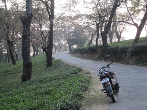 riding on the back of a bike