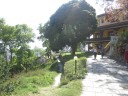 The garden of the monastery