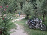 Emfield motors in the garden of our guesthouse