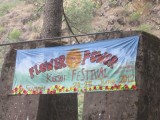 An organized party in Kasol