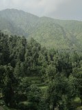 The view from my balcony at Dharmkot
