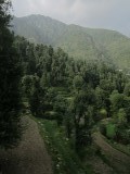 The view from my balcony at Dharmkot
