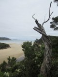 Roadtrip from Sydney to Melbourne
