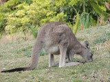 Roadtrip from Sydney to Melbourne