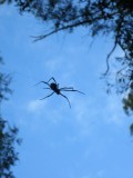 IMG_3851