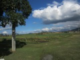 IMG_3923