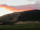 IMG_3972