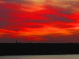 IMG_4352