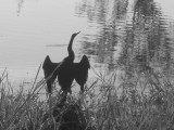 IMG_4761