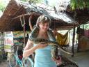 Lieke met een python