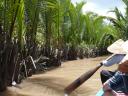 Roeiboot in de Mekong-delta