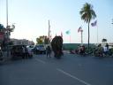Olifant