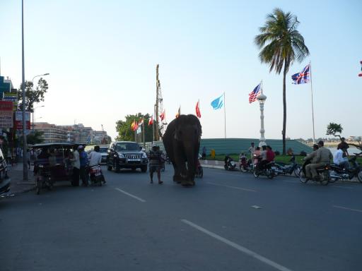Olifant