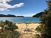 Uitzicht op strand Abel Tasman Park