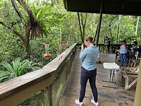 Lieke fotografeert de kolibries