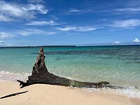 Strand en uitzicht op Isla Zapatilla