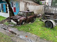 Een oude Mini in de tuin in Bocas Town