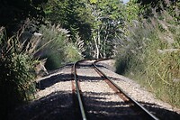 Panama railway