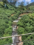 Uitzicht op een waterval vanuit de trein