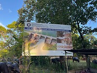 De dam van Udawalawa