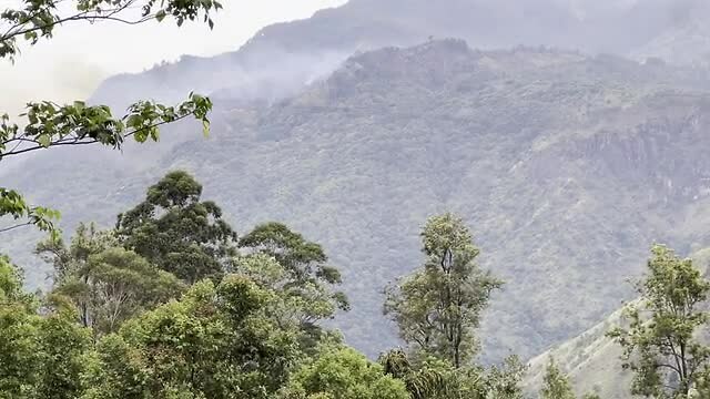 Uitzicht vanaf Little Adam's Peak op verbrande bergen