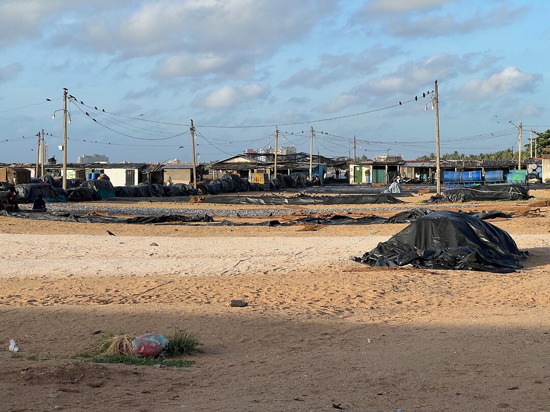 Vis drogen aan het strand van Negombo