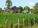 Kratie