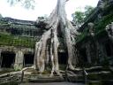 Angkor tempels