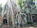 Angkor tempels
