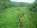 Bandung