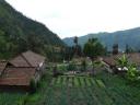 Bromo Nationaal Park