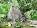 Ubud