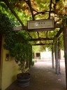 Barossa Valley
