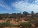 Indian Pacific Railroad