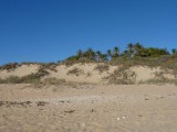 Broome