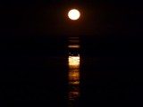 Broome