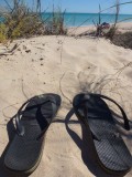 Broome