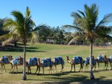 Broome