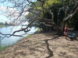 Nimbin